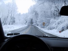 Highlight for Album: 4-3-05 Snow